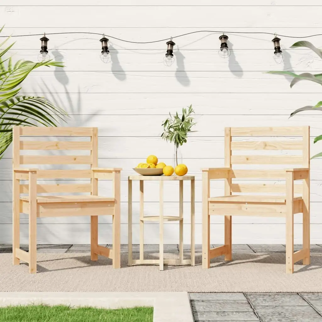 Garden Chairs 2 pcs 60x48x91 cm Solid Wood Pine 824053