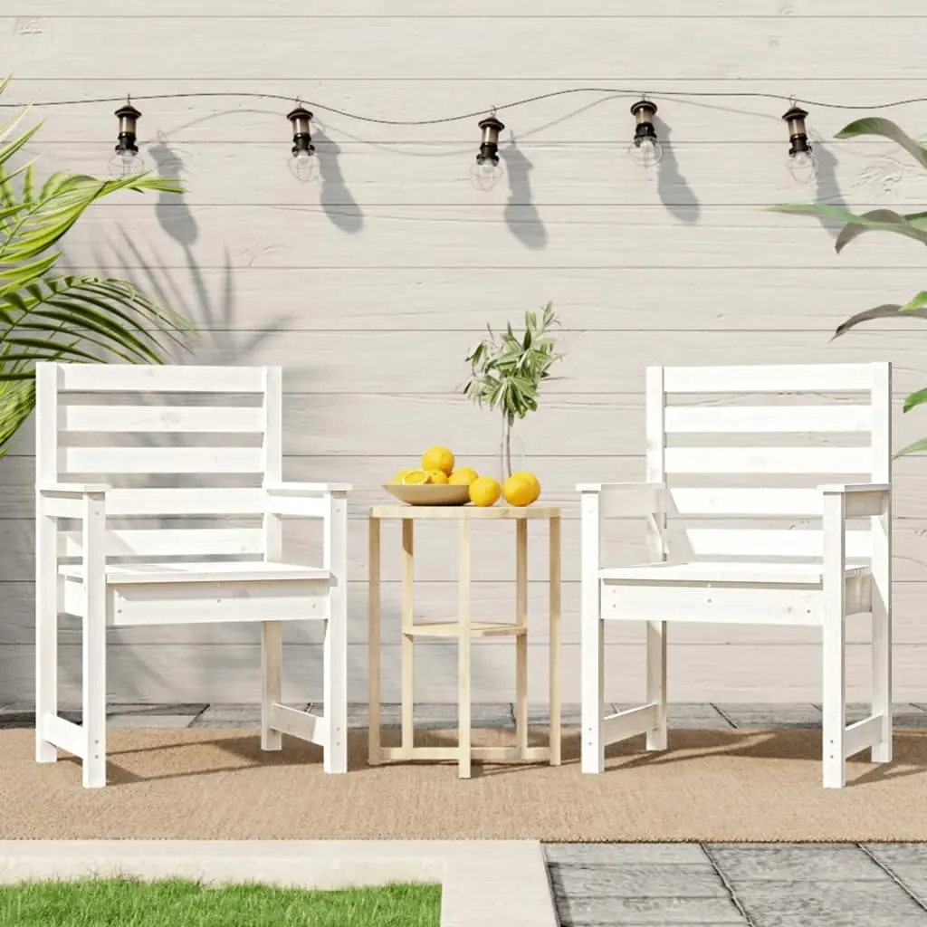 Garden Chairs 2 pcs White 60x48x91 cm Solid Wood Pine 824054