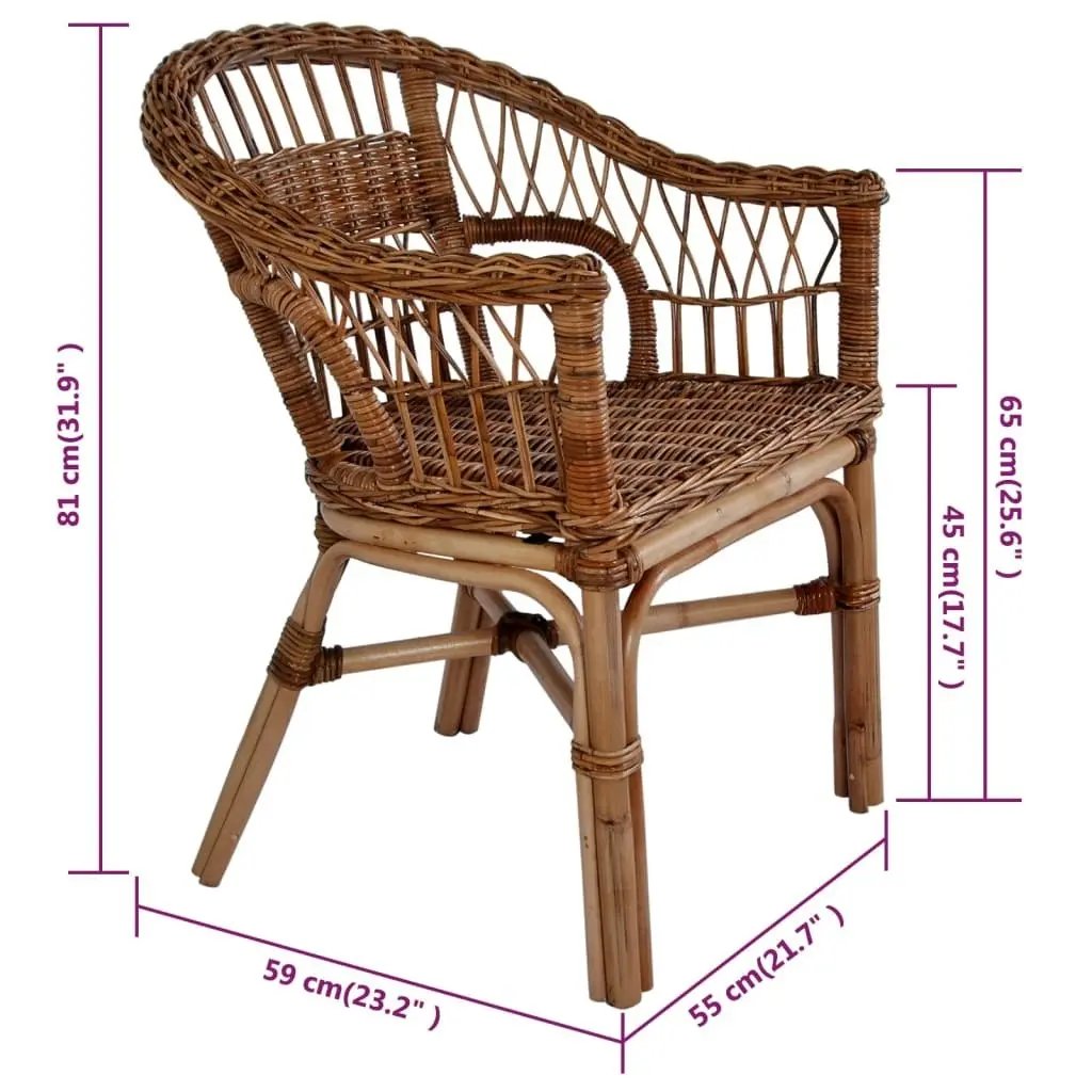 Outdoor Chairs 2 pcs Natural Rattan Brown 275842