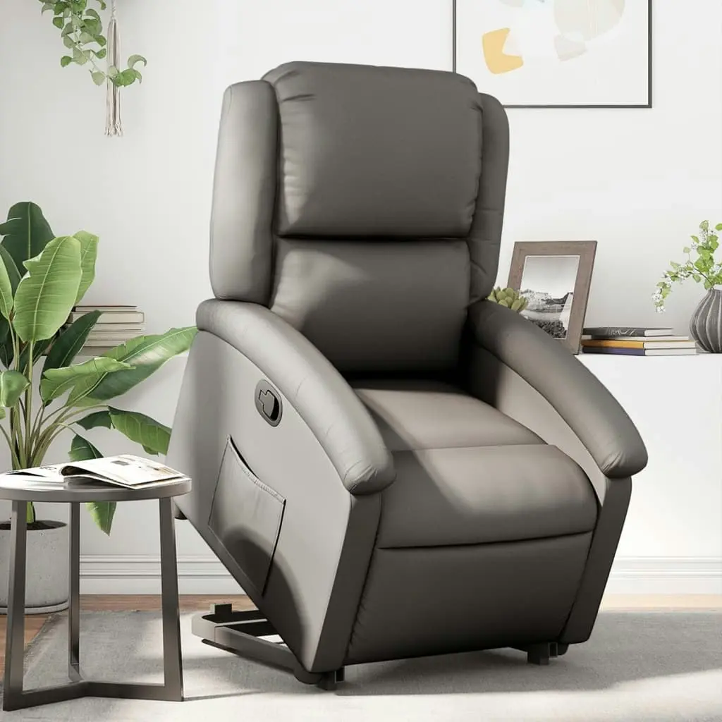 Stand up Recliner Chair Grey Real Leather 3205482