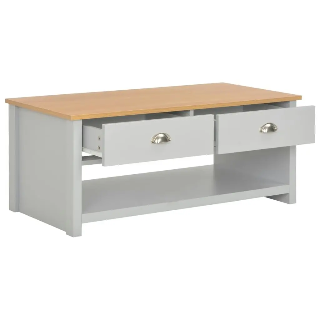 Coffee Table Grey 100x50x42 cm 283738