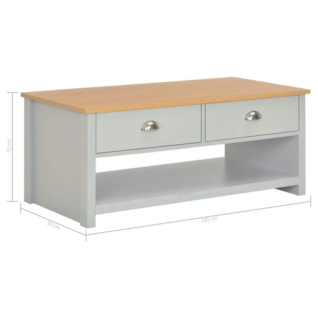 Coffee Table Grey 100x50x42 cm 283738