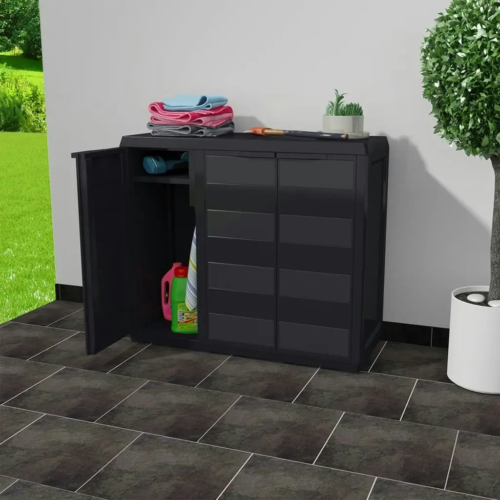 Garden Storage Cabinet with 2 Shelves Black 43704