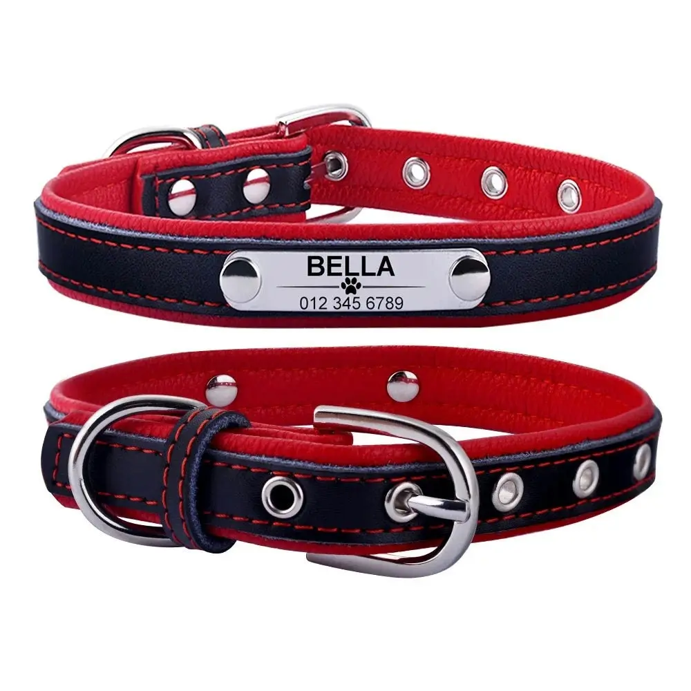 Arina Leather Engraved Dog Collar