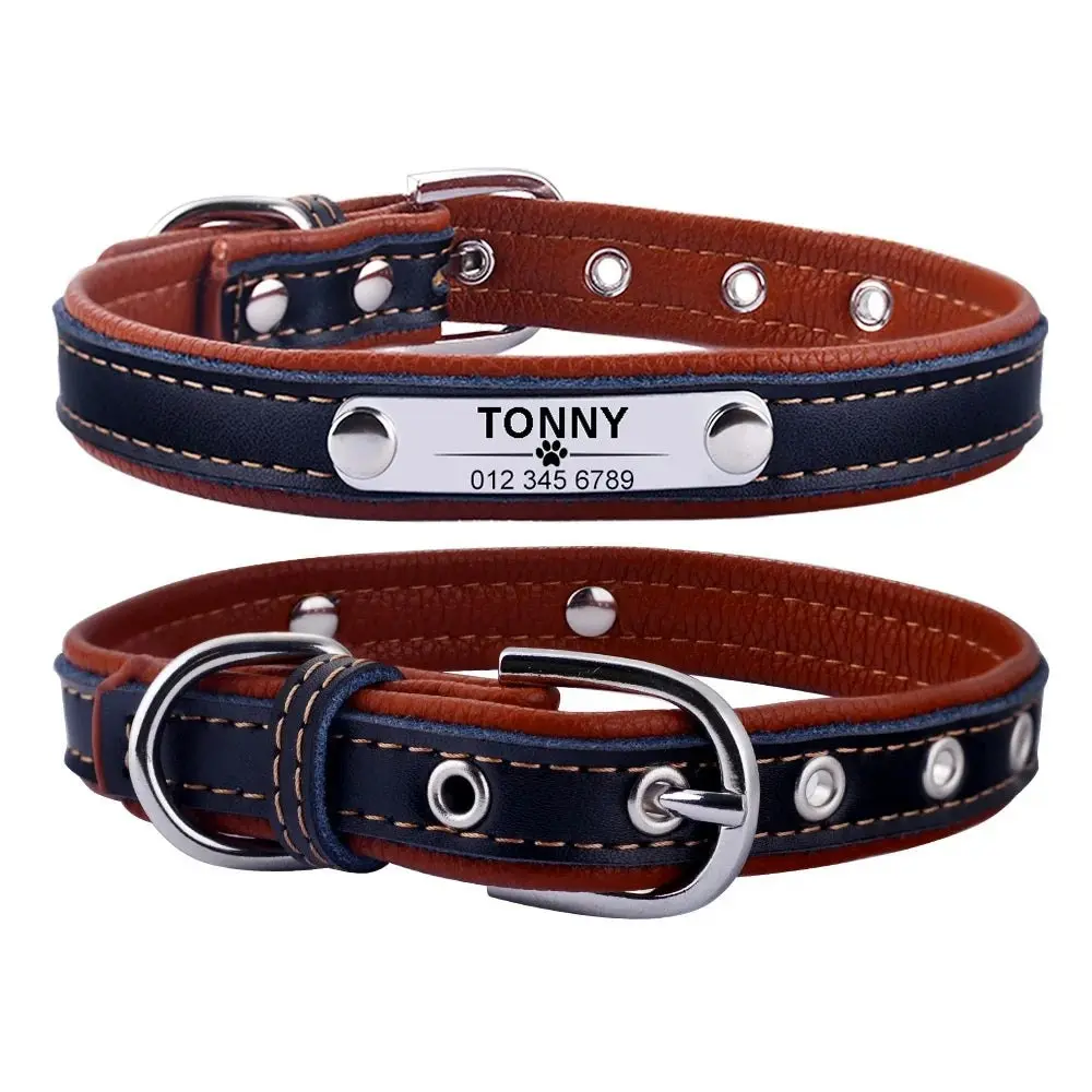 Arina Leather Engraved Dog Collar