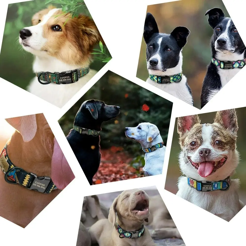 K13 Personalised Dog Collar