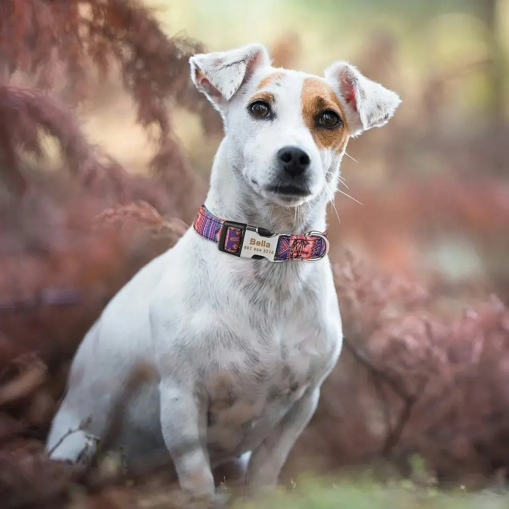 Alcantara Personalised Collar