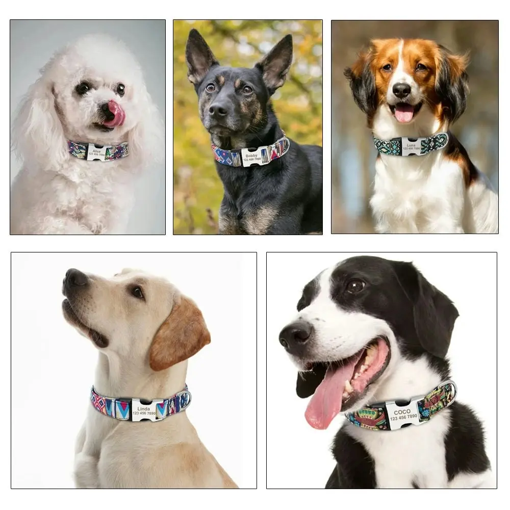 K30 Personalised Collar