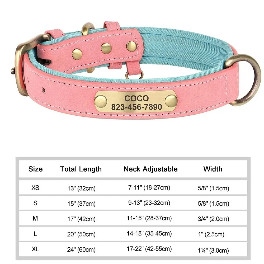 Artiste Personalised Dog Collar