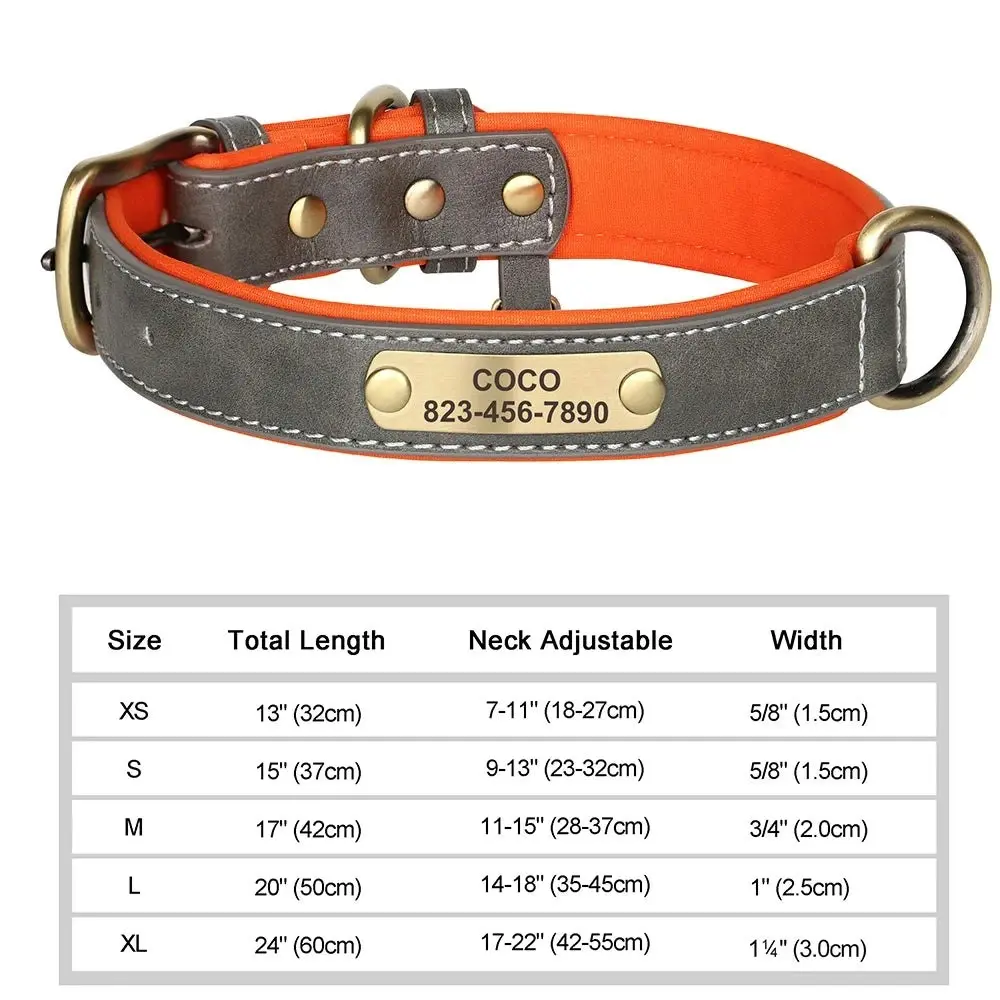 Artiste Personalised Dog Collar