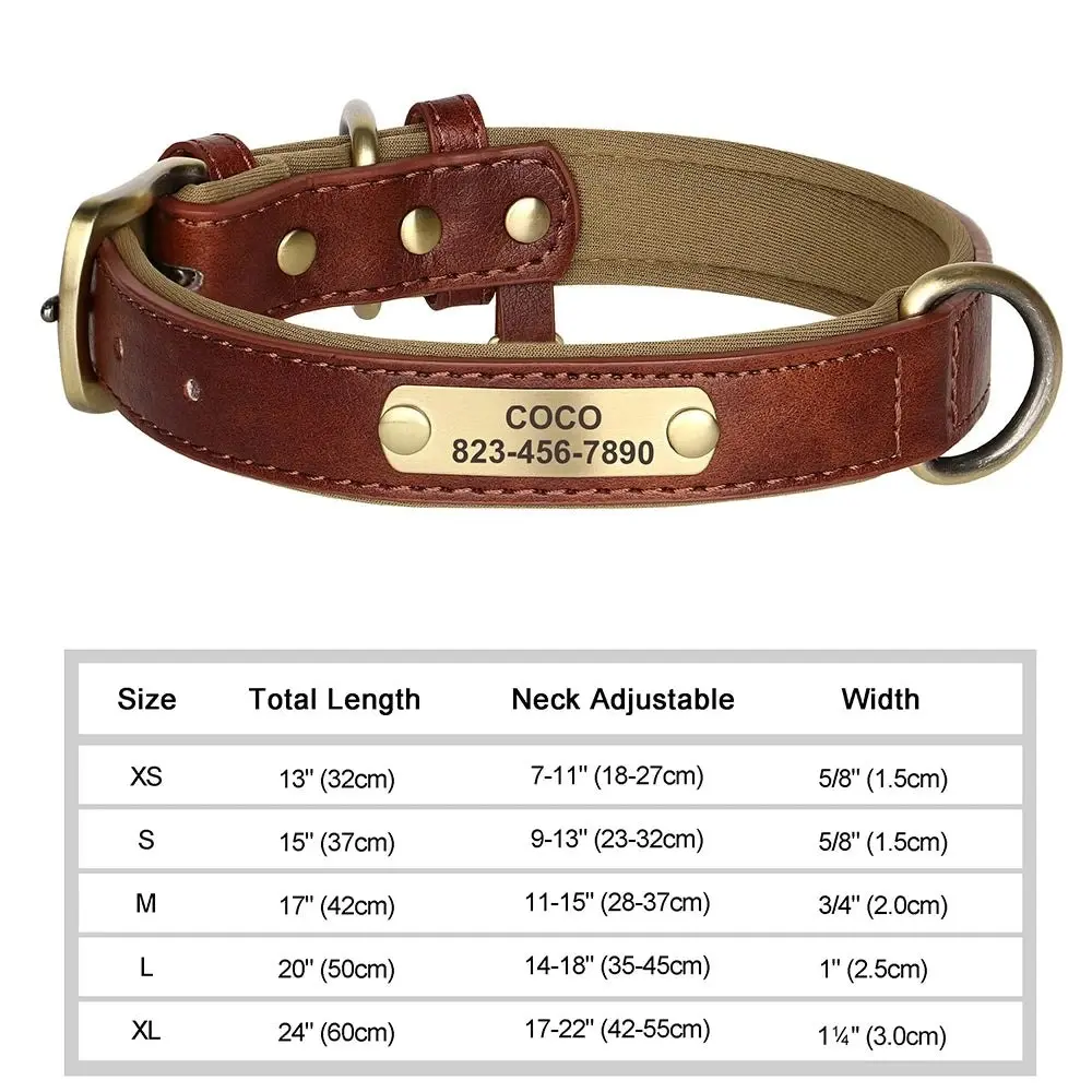 Artiste Personalised Dog Collar