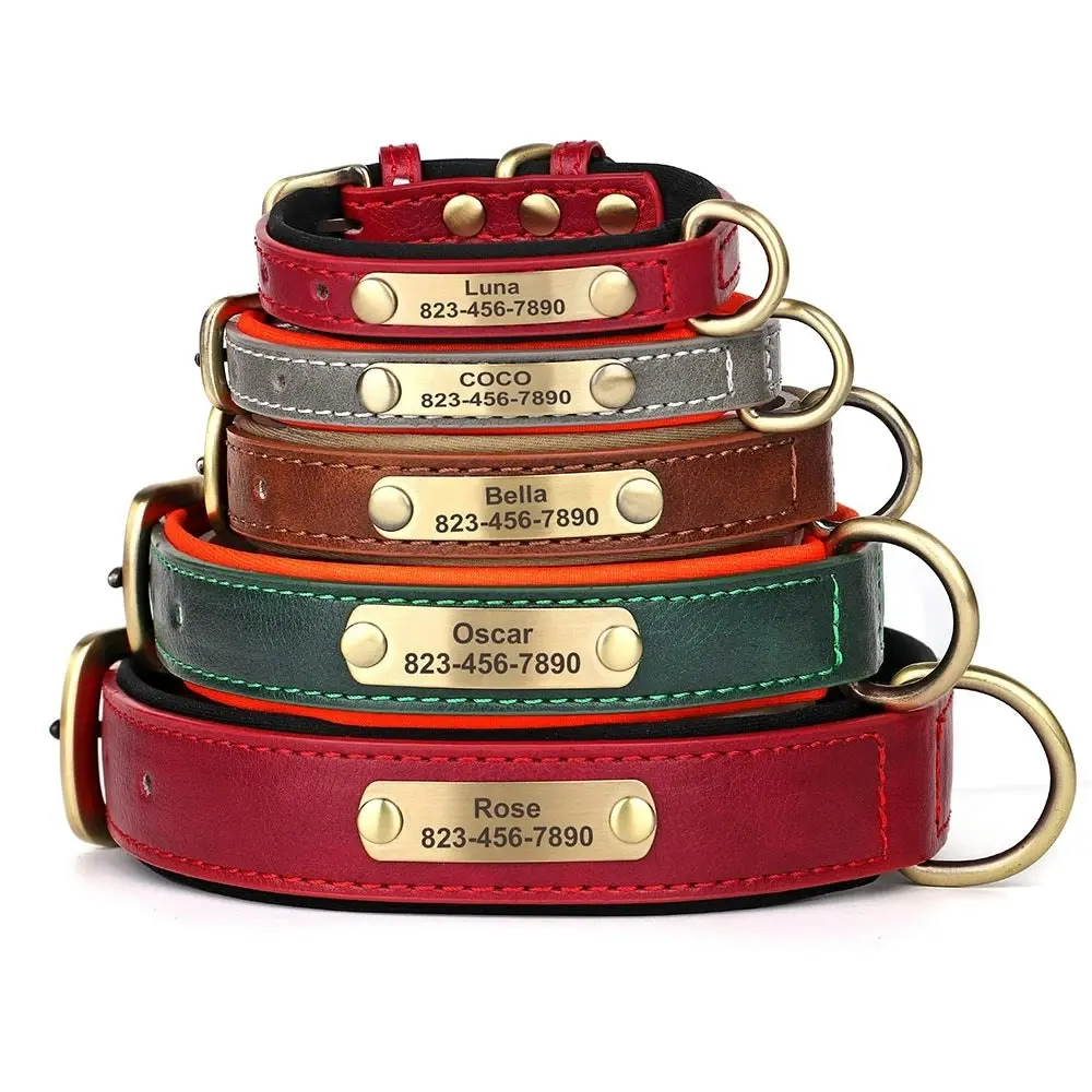 Artiste Personalised Dog Collar