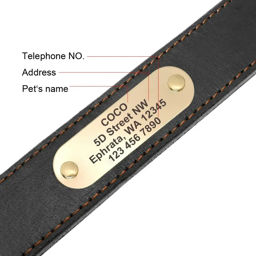 Brembo Personalised Leather Collar