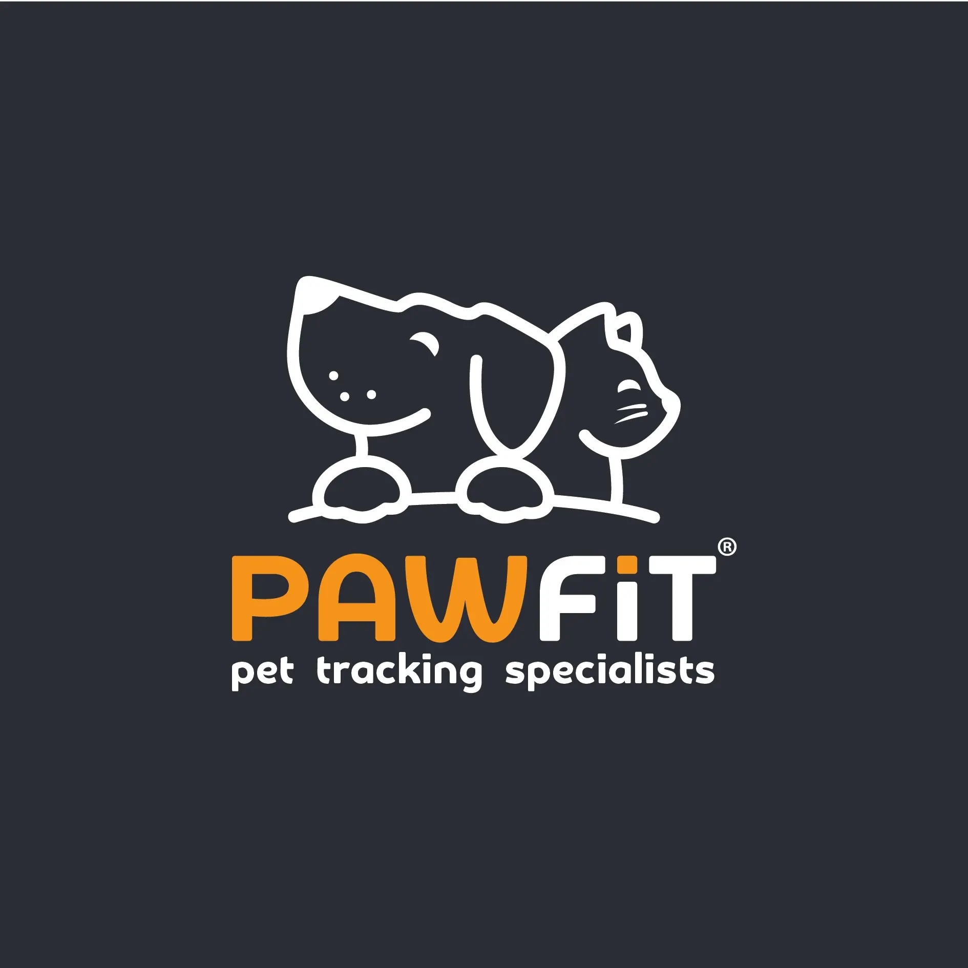 Pawfit Leash