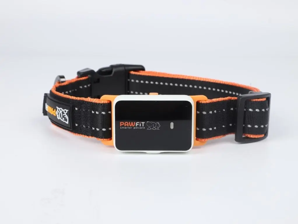 PAWFIT 3 Fitness Dog Tracker