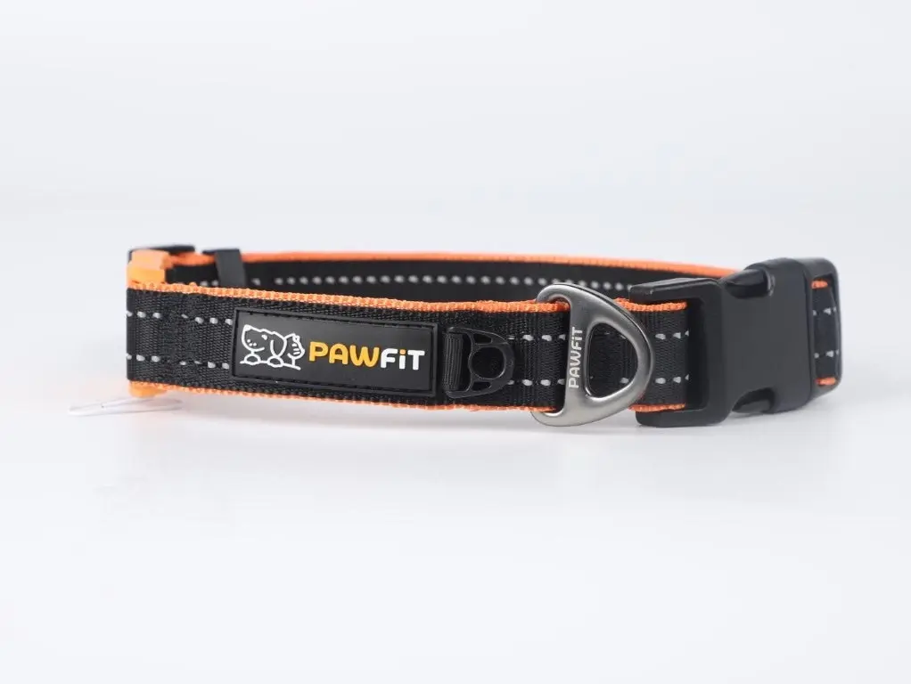 PAWFIT 3 Fitness Dog Tracker