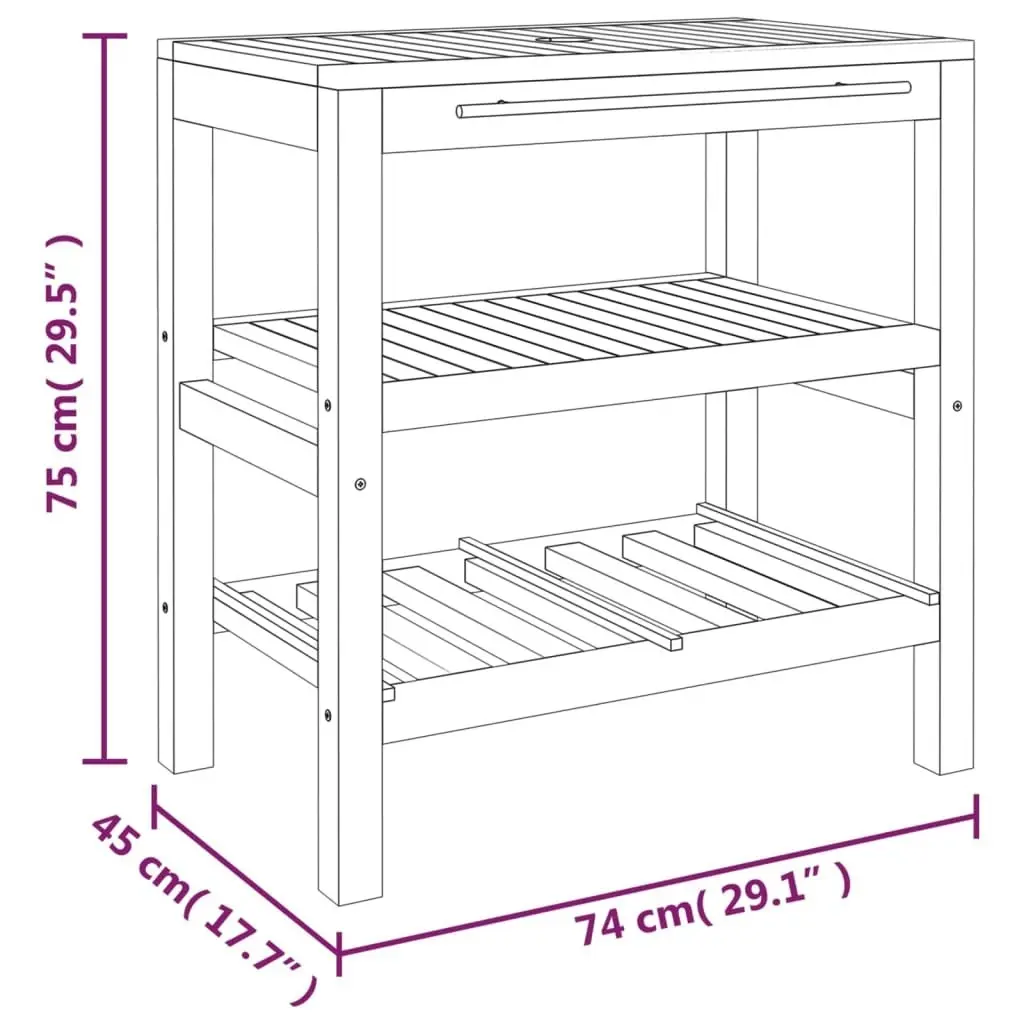 Bathroom Vanity Cabinet with 2 Shelves 74x45x75 cm Solid Wood 353955