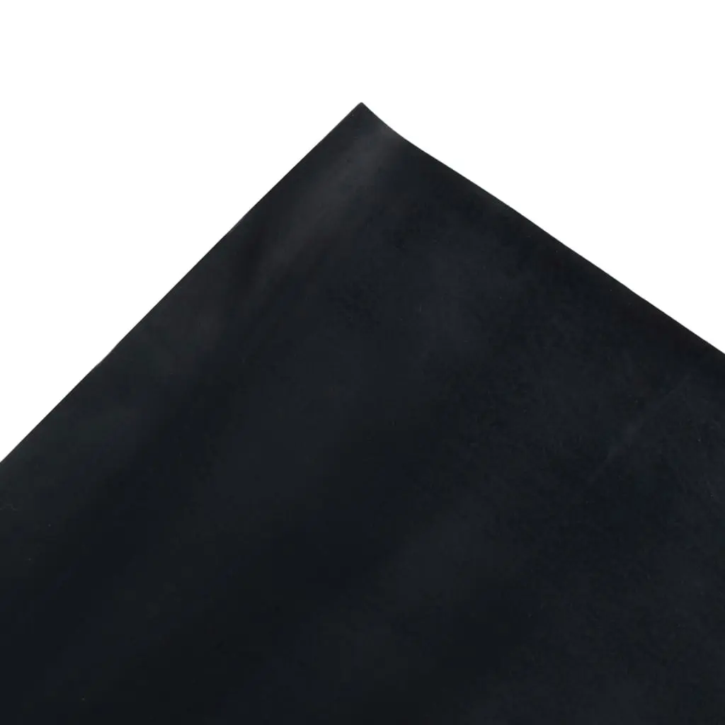 Floor Mat Anti-Slip Rubber 1.2x2 m 1 mm Smooth 143955