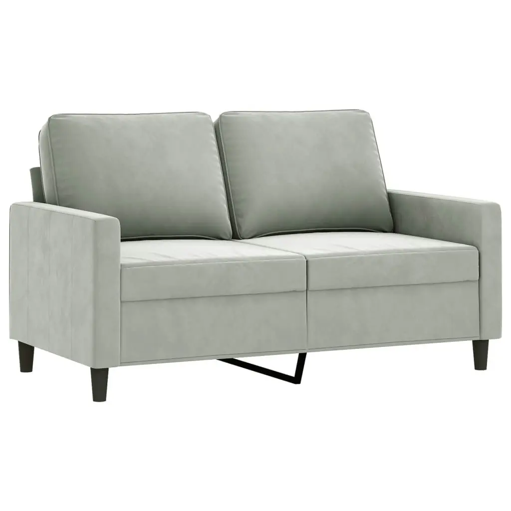 2 Piece Sofa Set with Cushions Light Grey Velvet 3201516