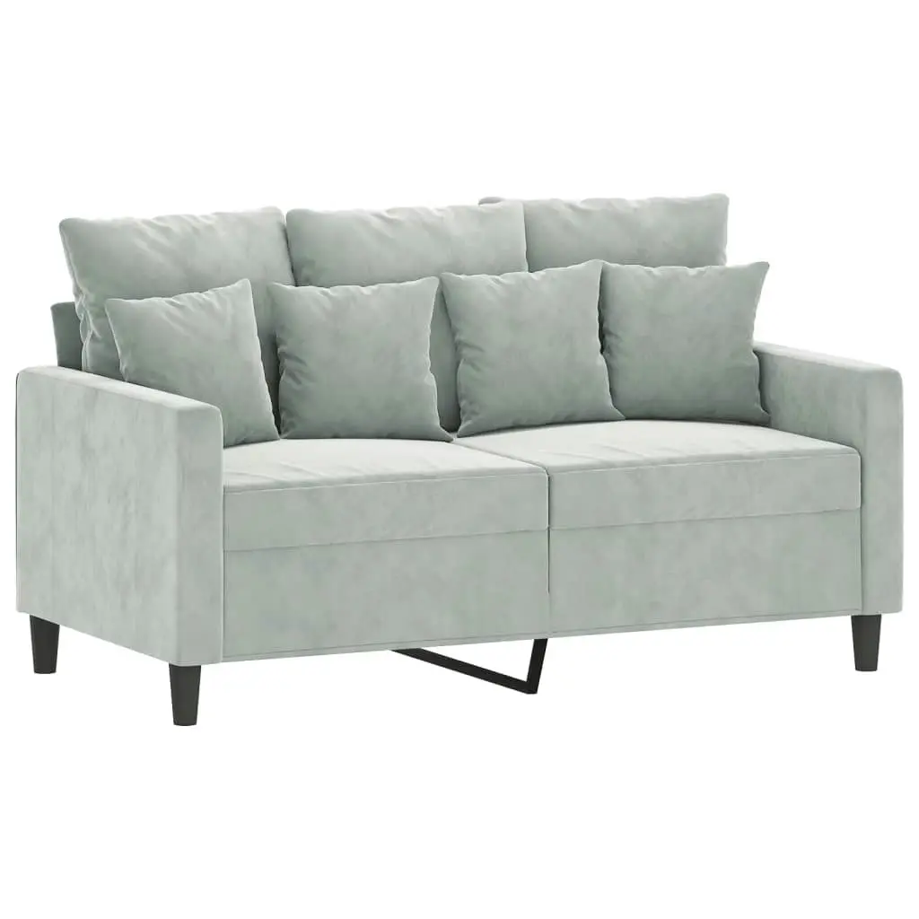 2 Piece Sofa Set with Cushions Light Grey Velvet 3201720