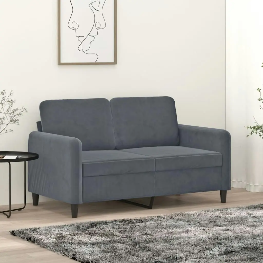 2-Seater Sofa Dark Grey 120 cm Velvet 359433