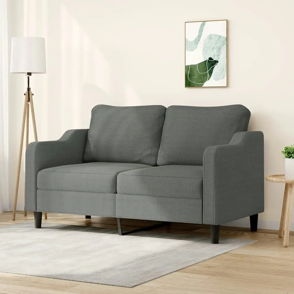 2-Seater Sofa Dark Grey 140 cm Fabric 359360