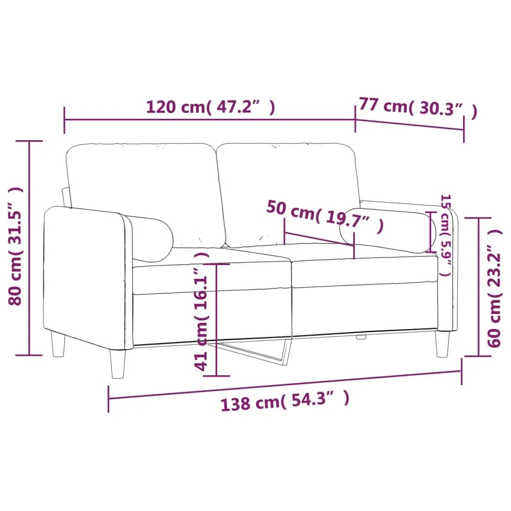 2-Seater Sofa with Throw Pillows Dark Grey 120 cm Velvet 3200872