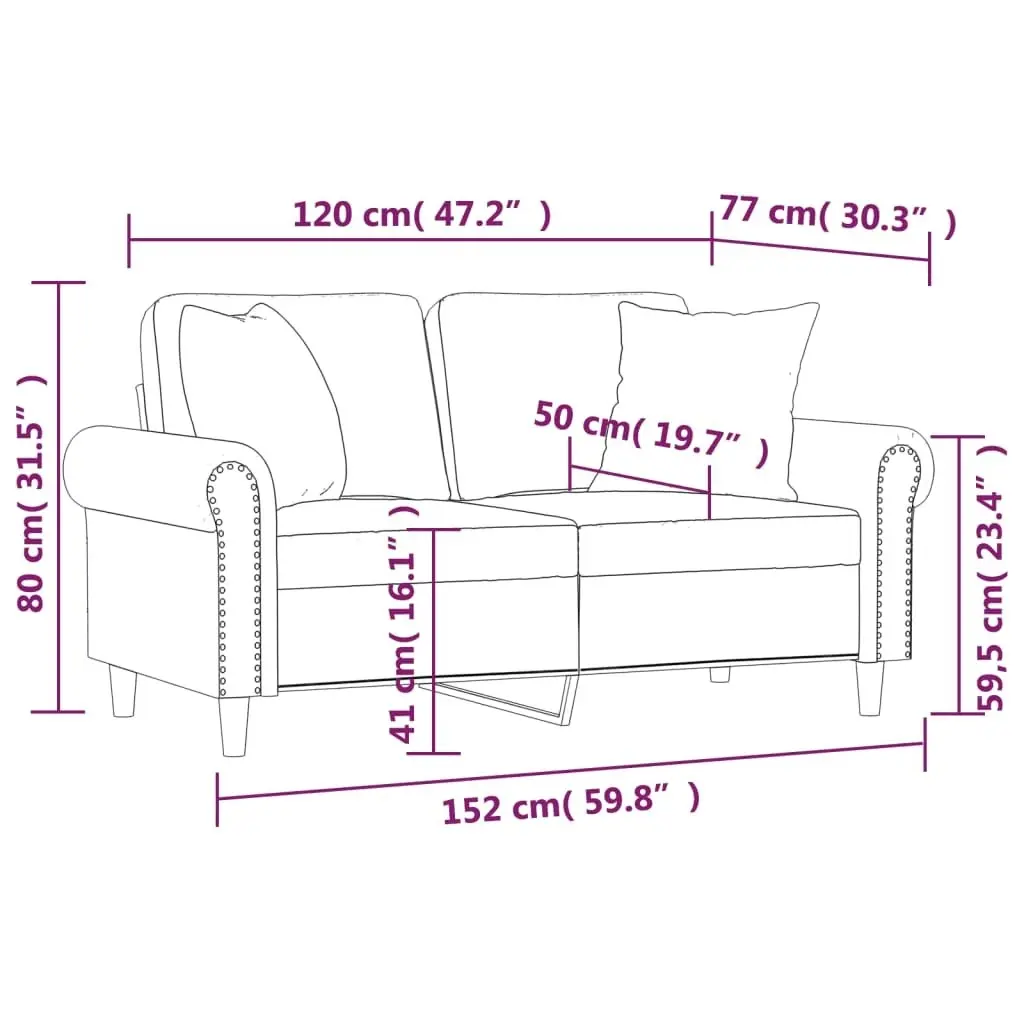 2-Seater Sofa with Throw Pillows Black 120 cm Velvet 3200940