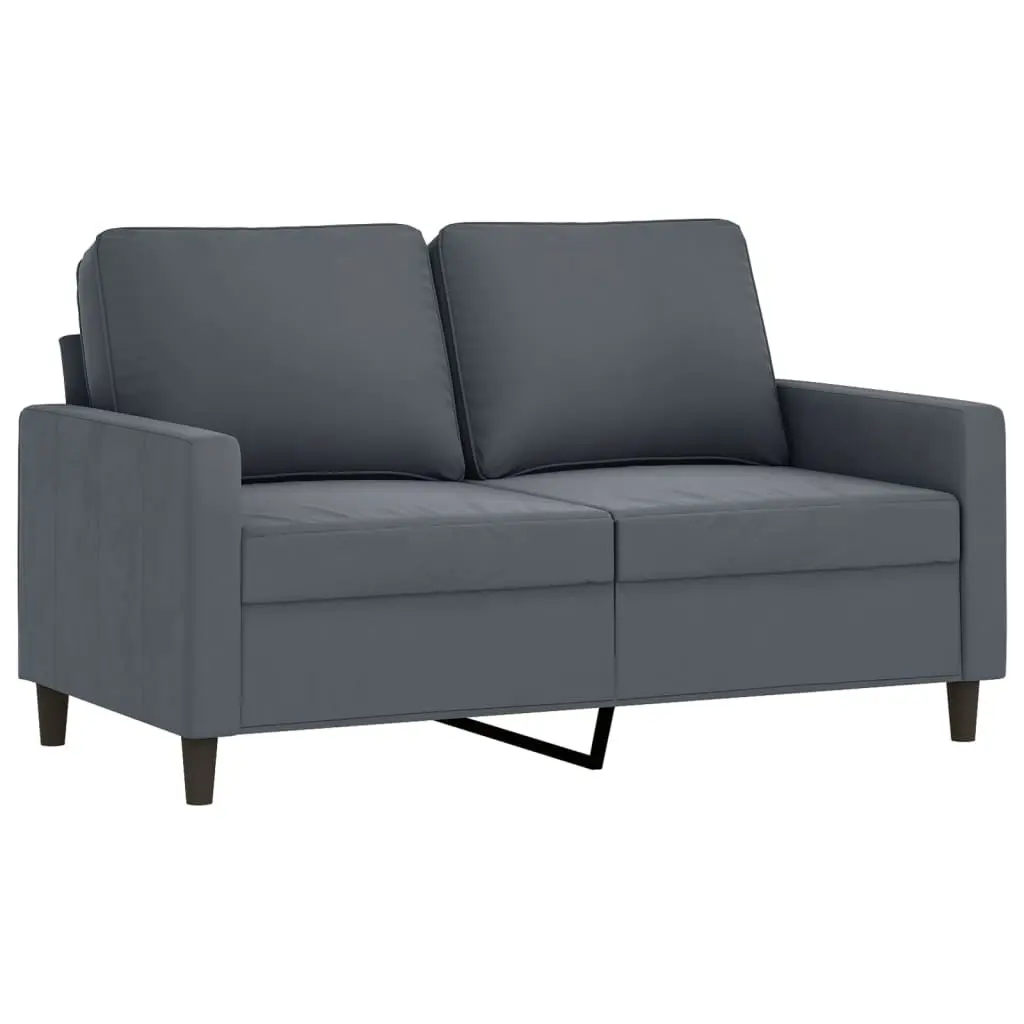 2 Piece Sofa Set with Cushions Dark Grey Velvet 3201517