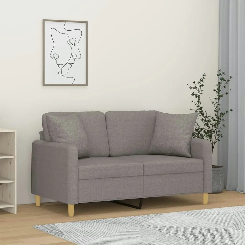 2-Seater Sofa with Throw Pillows Light Grey 120 cm Fabric 3200901