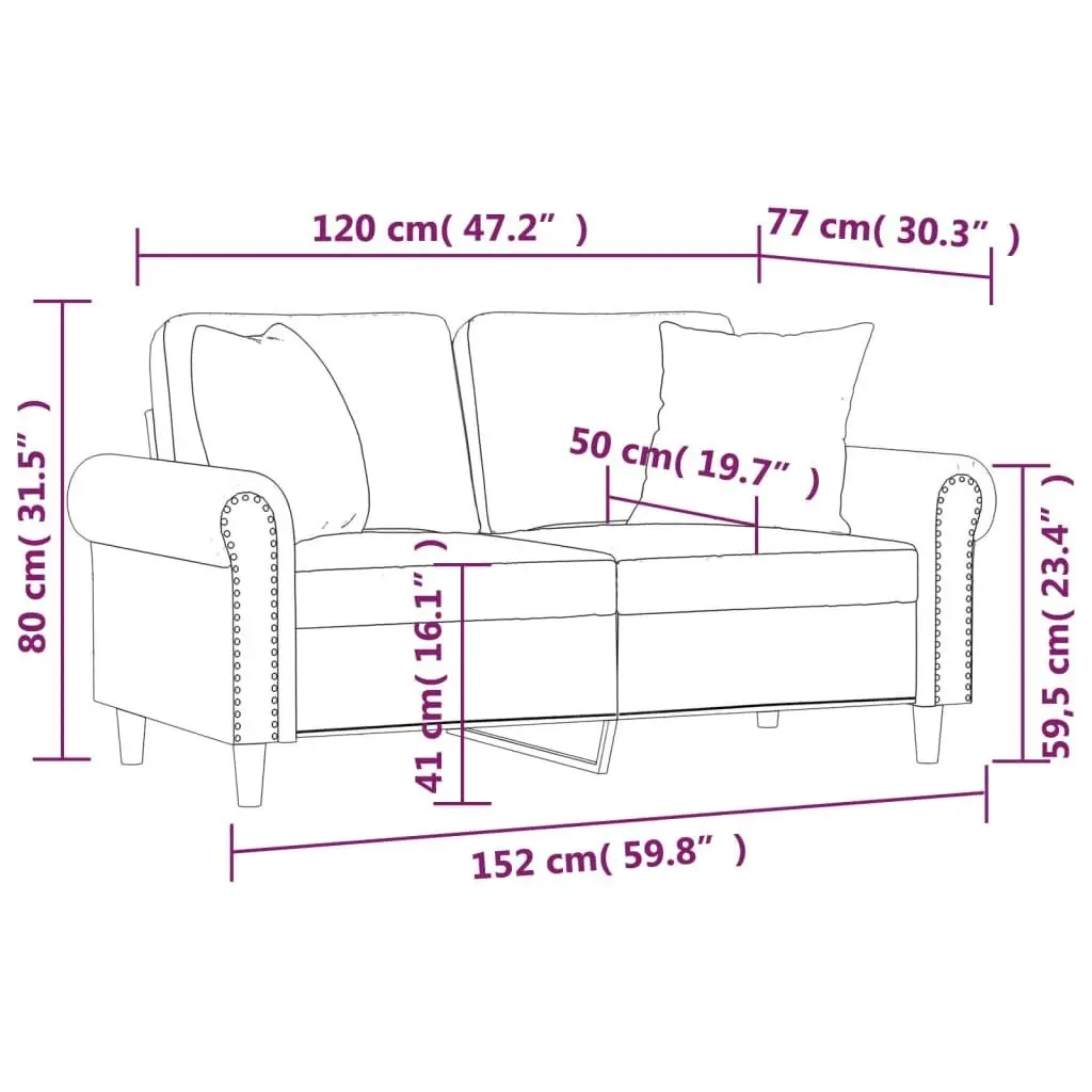 2-Seater Sofa with Throw Pillows Light Grey 120 cm Velvet 3200935