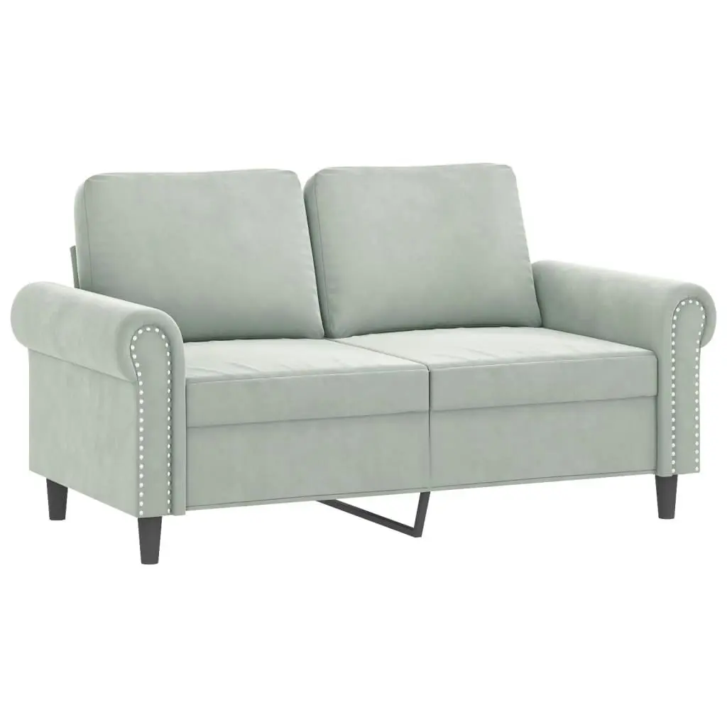 2 Piece Sofa Set with Pillows Light Grey Velvet 3202230