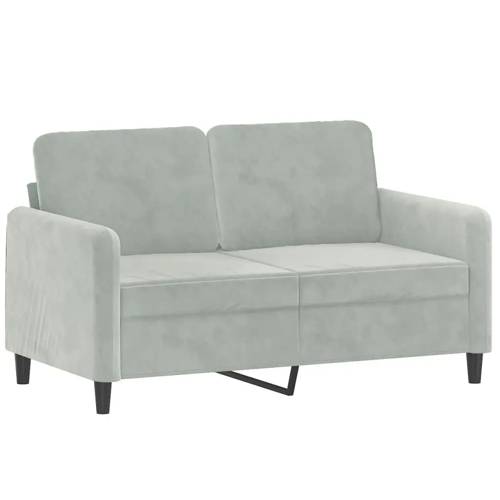 2 Piece Sofa Set Light Grey Velvet 3202014