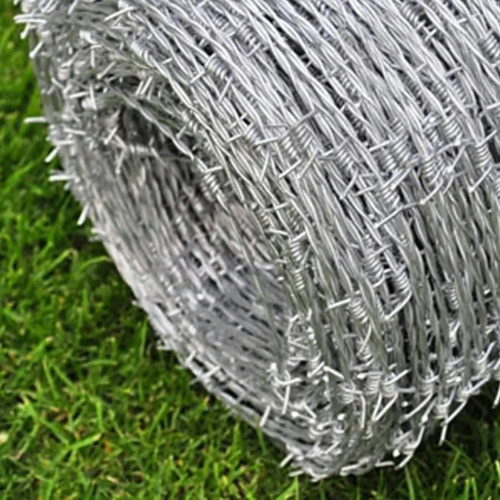 Barbed Wire 500 m 140115