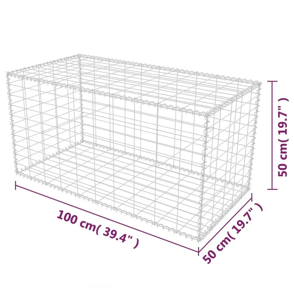 Gabion Basket Galvanised Steel 100x50x50 cm 142549