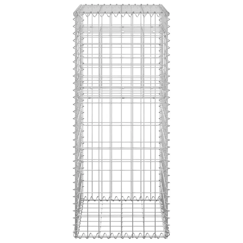 Gabion Basket Posts 2 pcs 40x40x100 cm Iron 151261