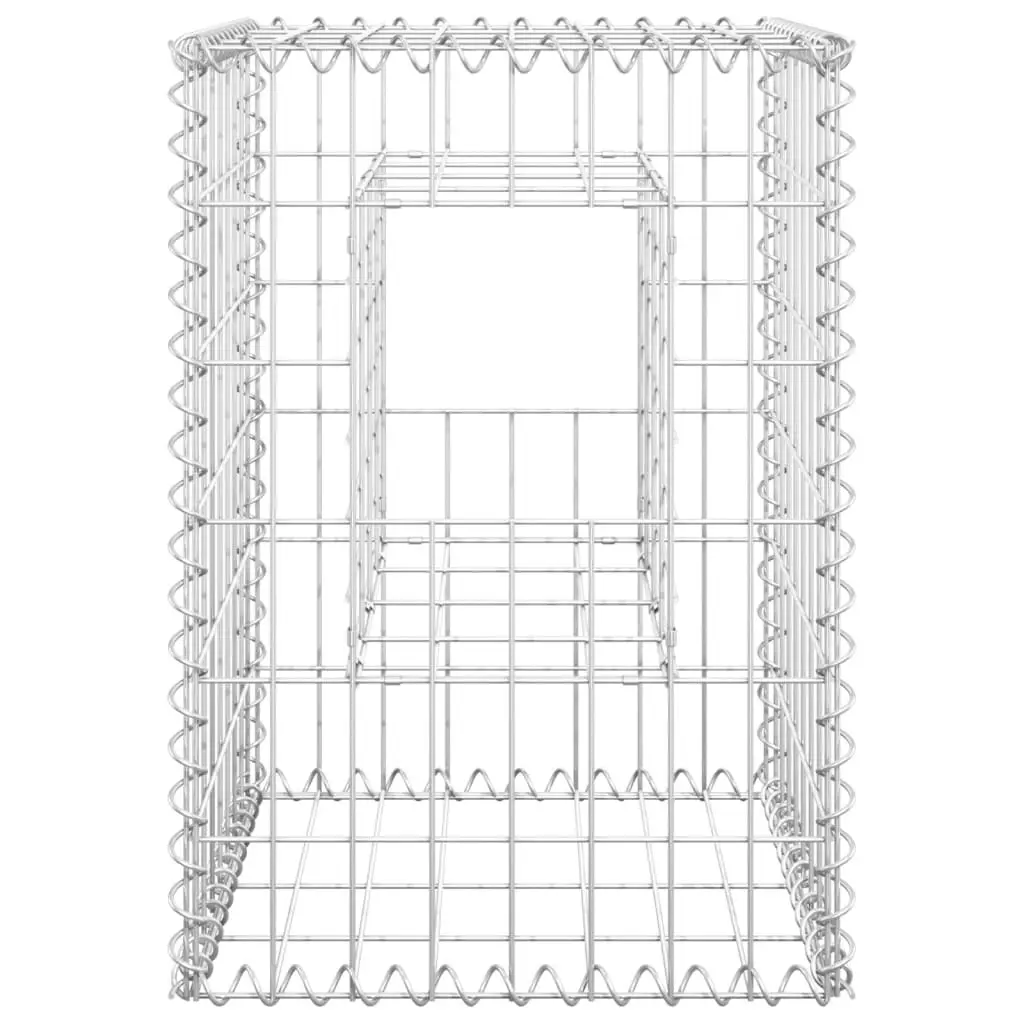 Gabion Basket Posts 2 pcs 40x40x60 cm Iron 151259