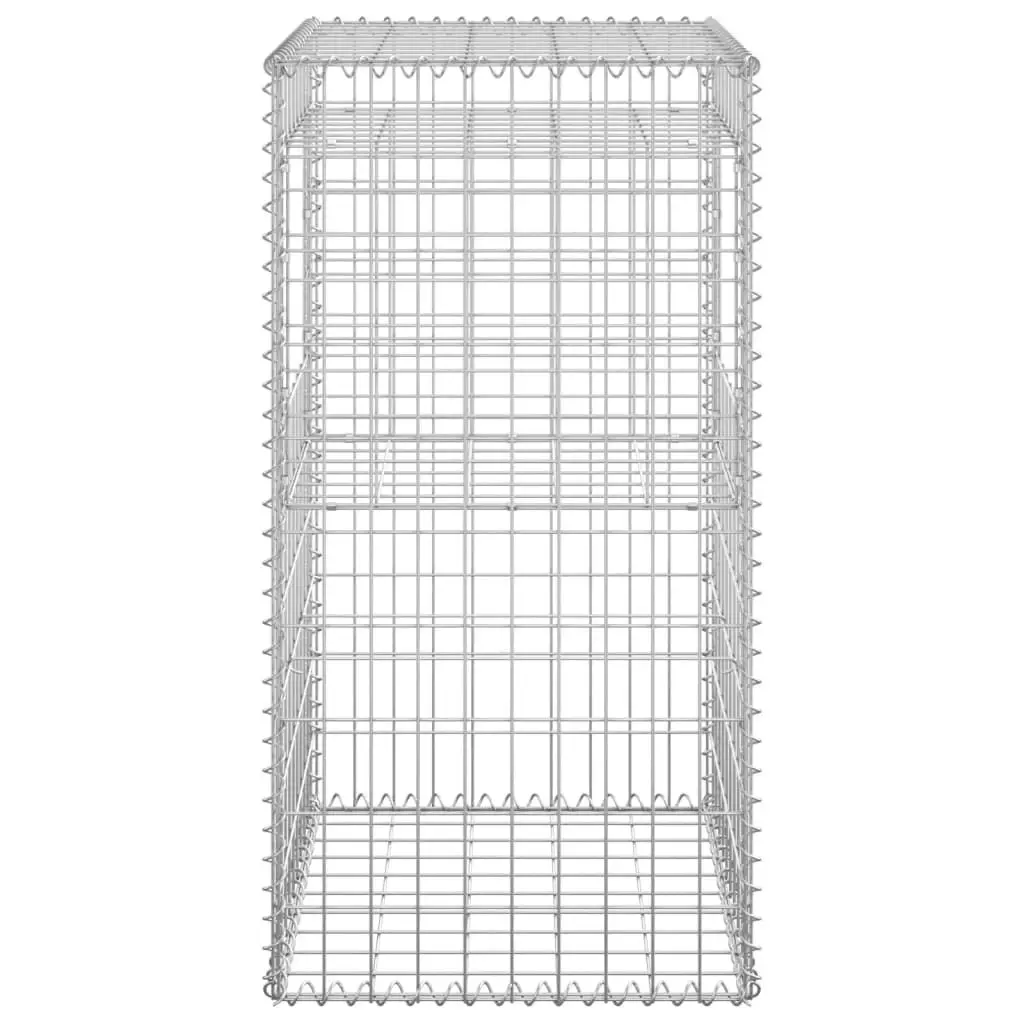 Gabion Basket Posts 2 pcs 50x50x100 cm Iron 151269