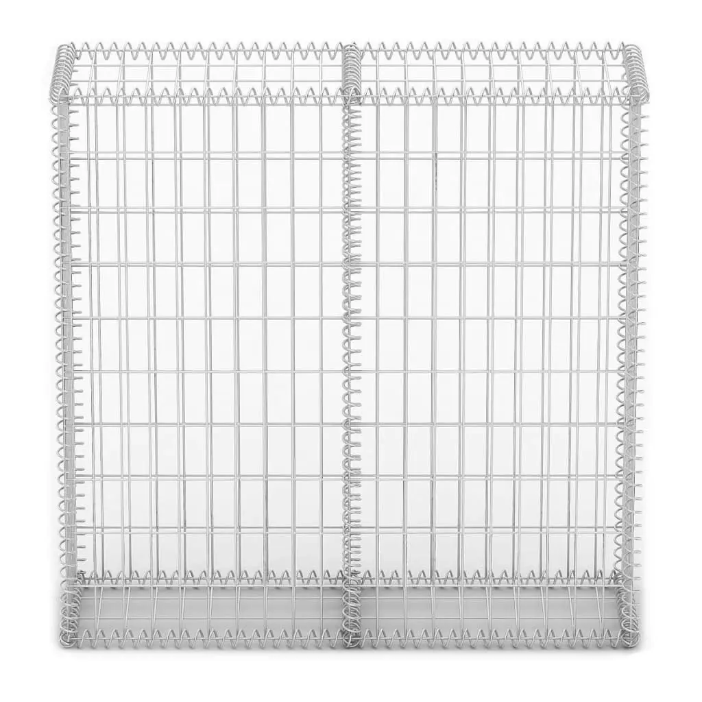 Gabion Basket with Lids Galvanised Wire 100 x 100 x 30 cm 141041