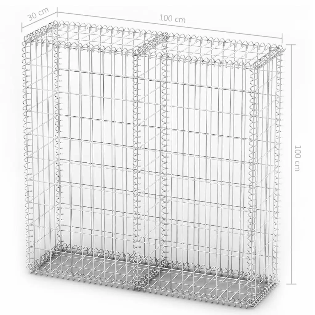 Gabion Basket with Lids Galvanised Wire 100 x 100 x 30 cm 141041