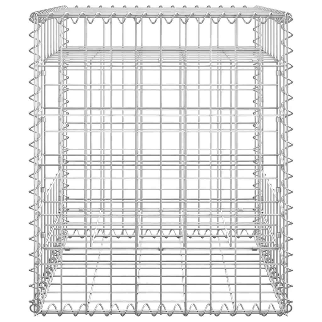 Gabion Basket Posts 2 pcs 50x50x60 cm Iron 151267