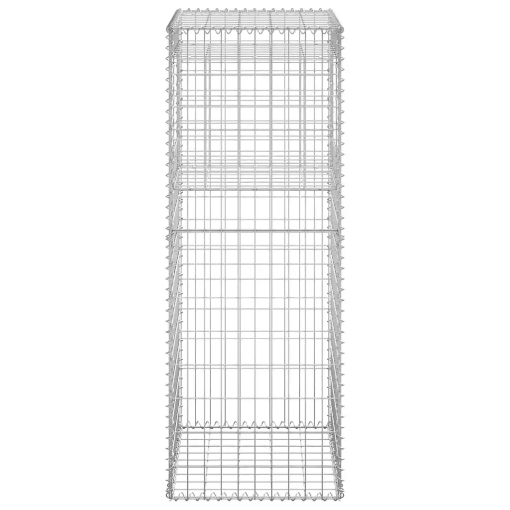 Gabion Basket Posts 2 pcs 50x50x140 cm Iron 151271