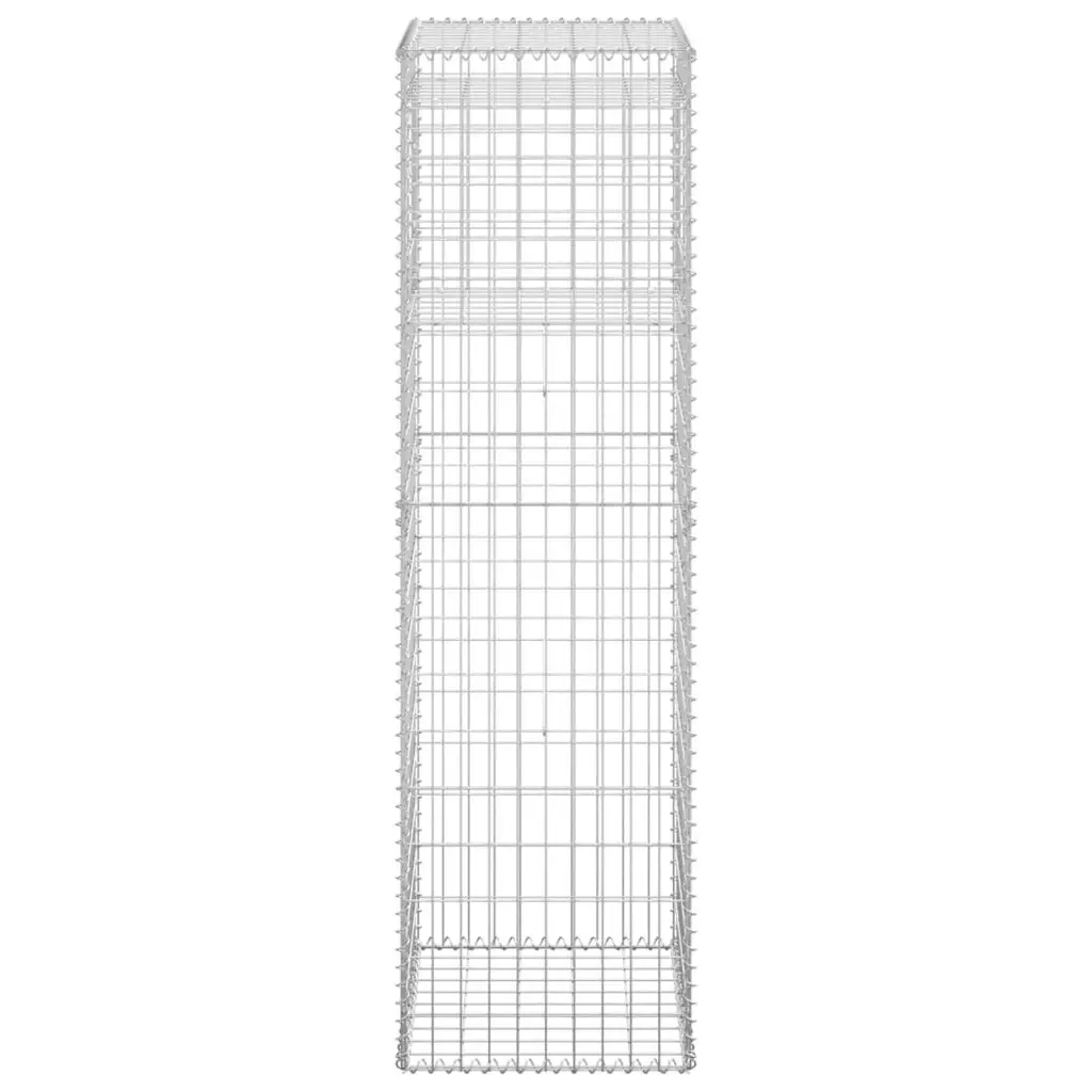 Gabion Basket Posts 2 pcs 50x50x180 cm Iron 151273