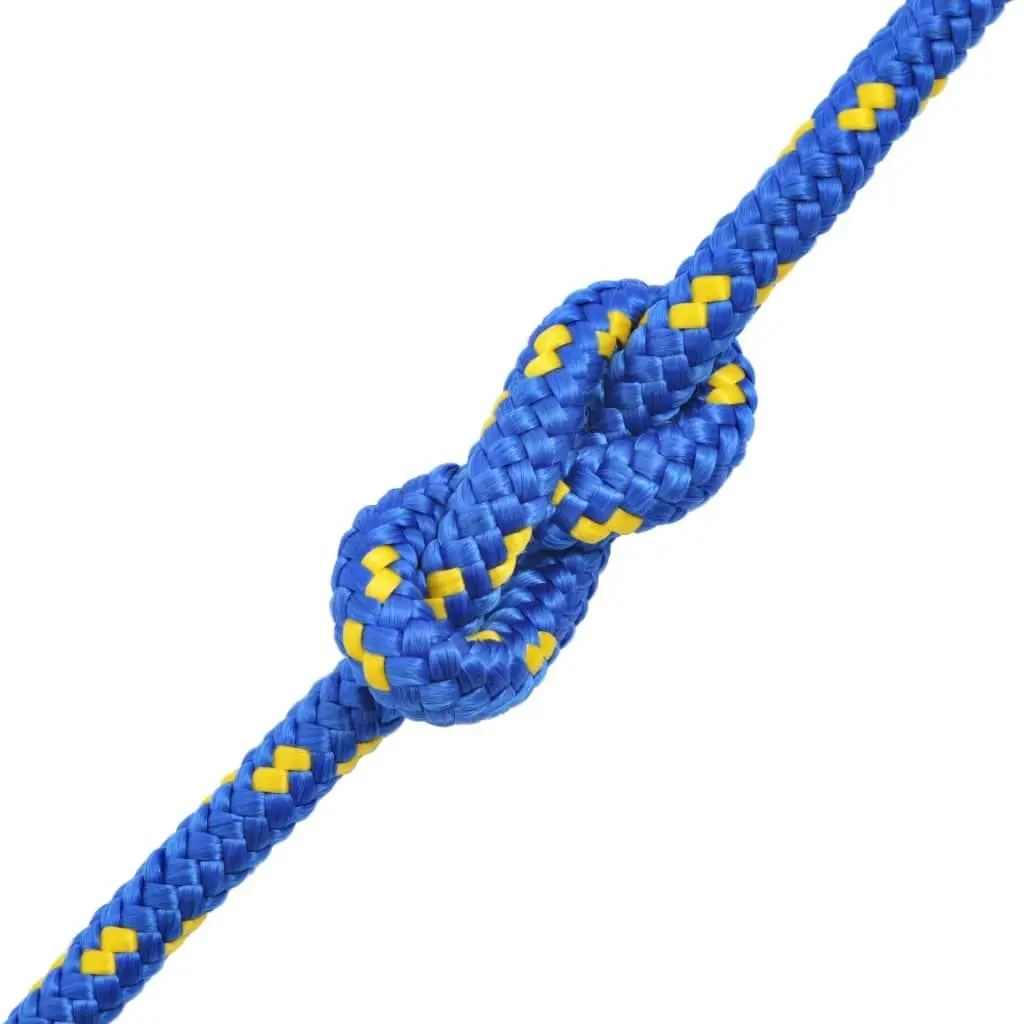 Marine Rope Polypropylene 10 mm 50 m Blue 91296