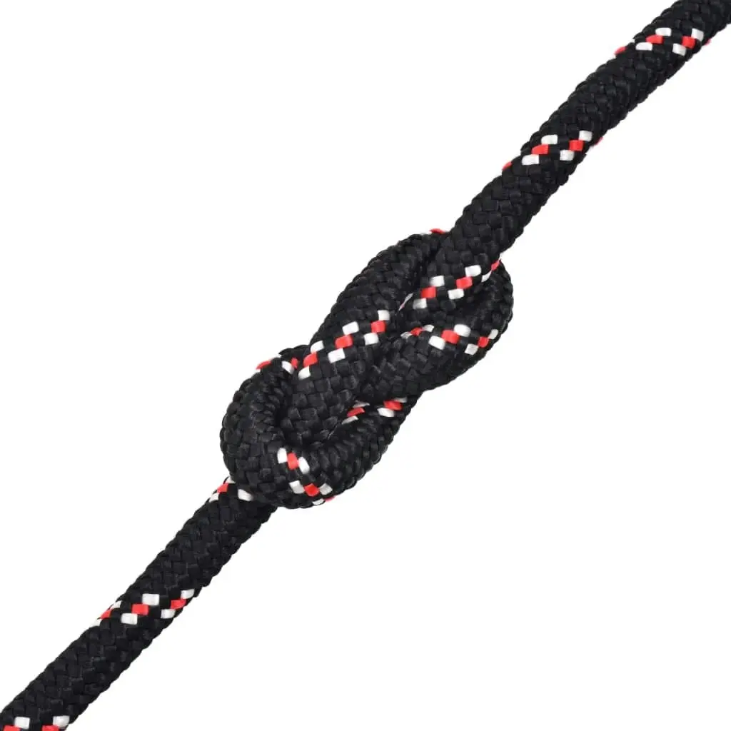 Marine Rope Polypropylene 10 mm 50 m Black 91286