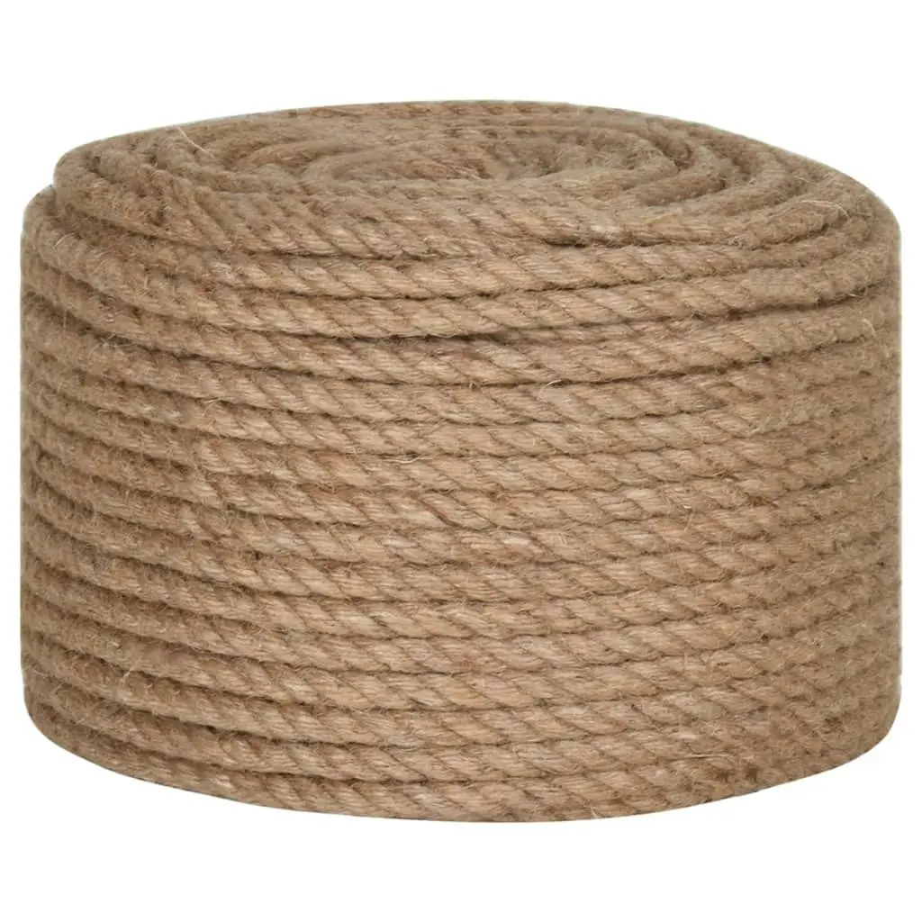 Rope 100% Jute 10 mm 250 m 143795