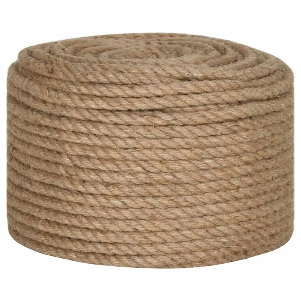 Rope 100% Jute 12 mm 100 m 91274