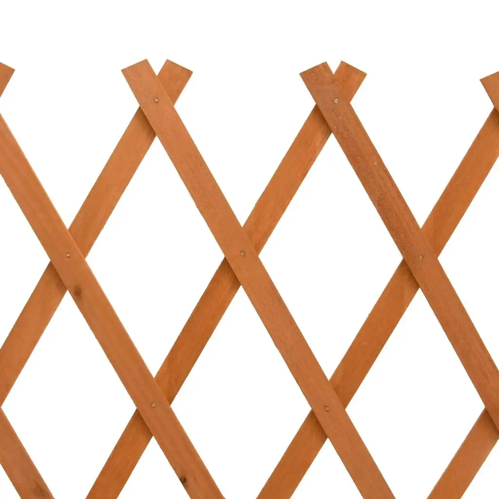 Garden Trellis Fence Orange 150x80 cm Solid Firwood 314826