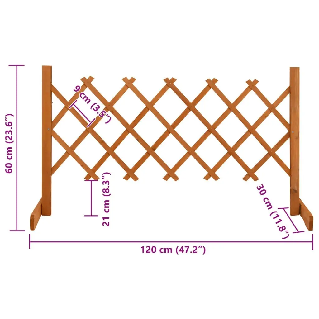 Garden Trellis Fence Orange 120x60 cm Solid Firwood 314822