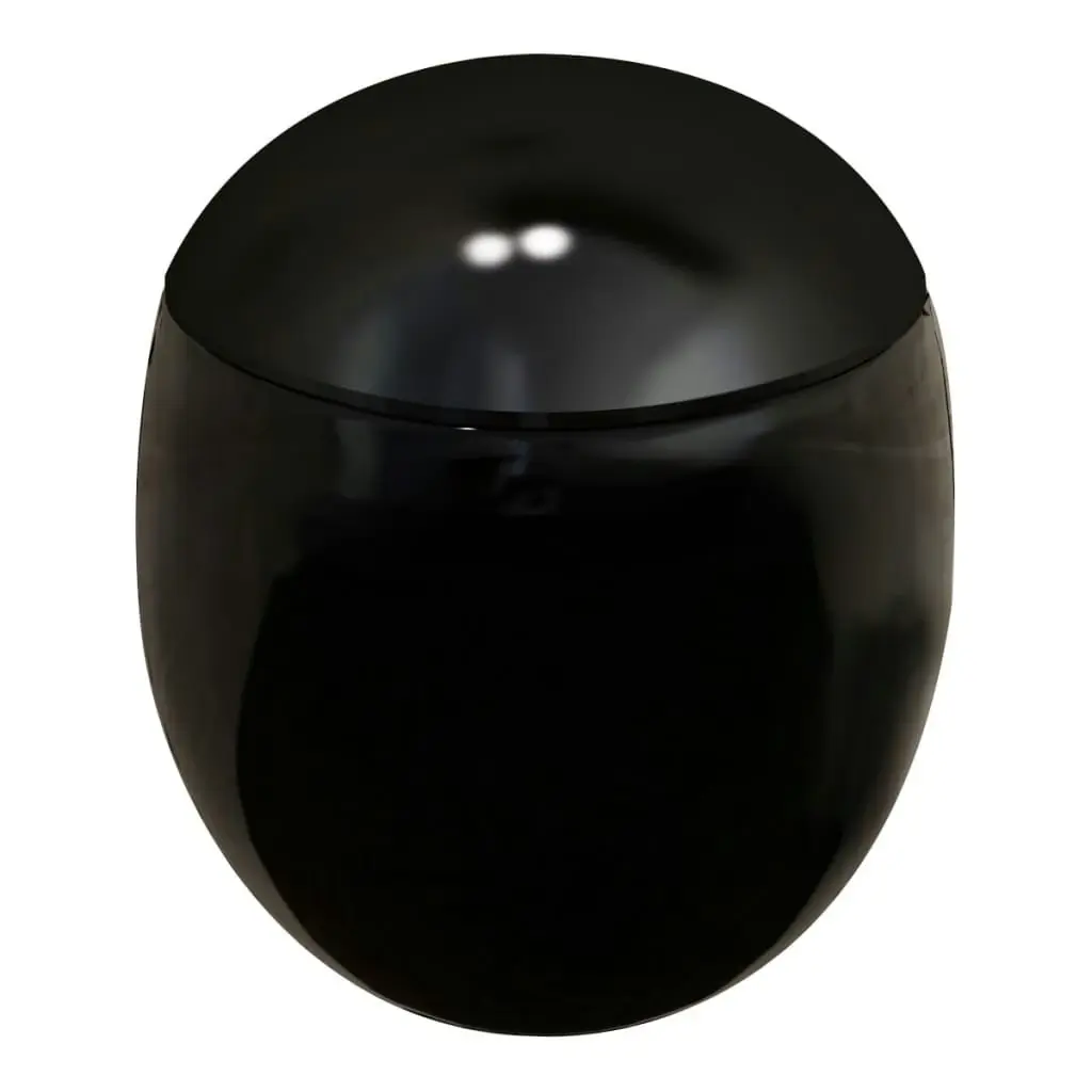 New Wall Hung Toilet Black Egg Shape 240375